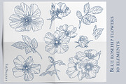 Blue rosehip flowers, a Decorative Illustration by LanaDzi (Thumbnail 9 of 12)