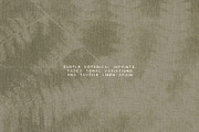 Faded Herbarium: Texture Backgrounds, a Texture Graphic by lerinartstudio (Thumbnail 6 of 13)