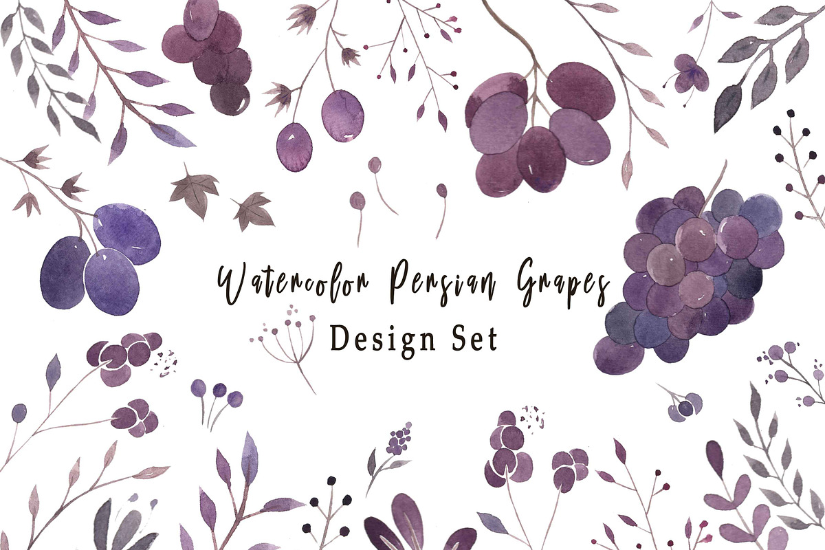 Watercolor Persian Grapes, an Object Graphic by Zahra Makes (Photo 1 of 3)