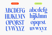Blinky Kalmie Modern Alternate Serif, a Serif Font by timelesstype.co (Thumbnail 17 of 20)