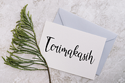 Charlote Shine, a Script Font by Essentials Studio (Thumbnail 10 of 10)