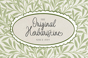 Wedding Letter Handwriting +Doodles, a Handwritten Font by Letterhend Studio (Thumbnail 5 of 9)