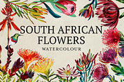 South African Flowers, a Decorative Illustration by Karliefie (Thumbnail 1 of 5)