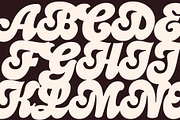 Cardin, a Script Font by Flavortype (Thumbnail 3 of 21)