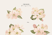Watercolor Spring Birds & Blossoms, an Animal Illustration by Jenteva Art (Thumbnail 4 of 17)