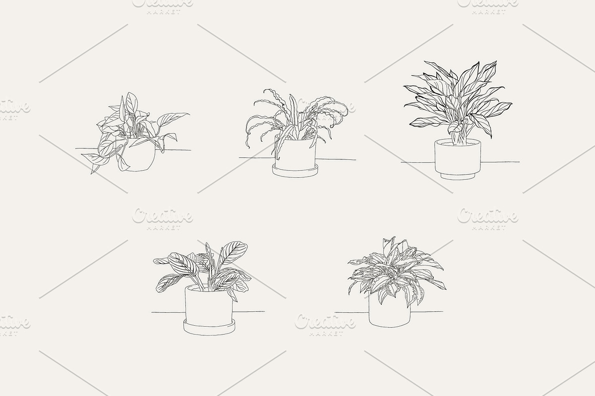 House Plant-Vector Illustration Pack, an Illustration by Lovendear Design (Photo 6 of 9)