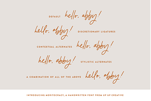 Meritocracy Handwritten Font