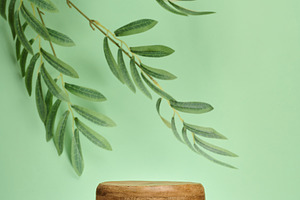 Wooden cylindrical podium or display stand sits on green backgro, a Background Photo by ndanko