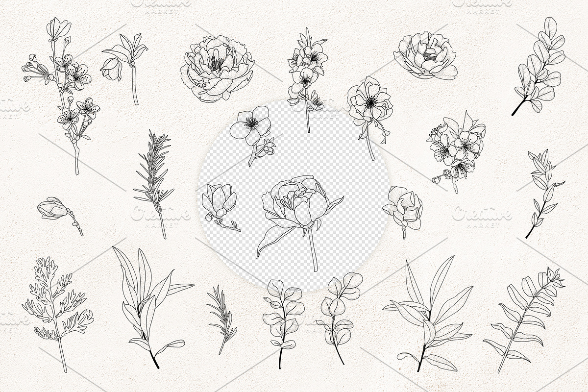 Floral Line Art SVG Botanical Frames, an Illustration by PawGraphic (Photo 4 of 10)