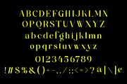 Techa - New Unique Typface, a Serif Font by AnnofaType (Thumbnail 6 of 8)