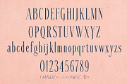 VESSAIRE - Elegant Tall Serif, a Serif Font by HypeWorksCo (Thumbnail 18 of 18)