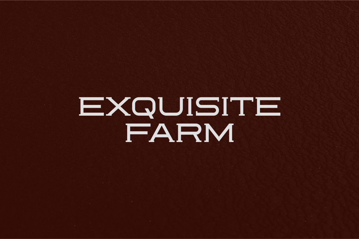Reoctions Font, a Serif Font by brahamb_design (Photo 2 of 5)