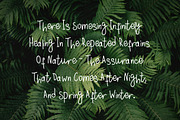 Sylvestre nature handwritten font, a Script Font by Wewhitelist (Thumbnail 7 of 7)