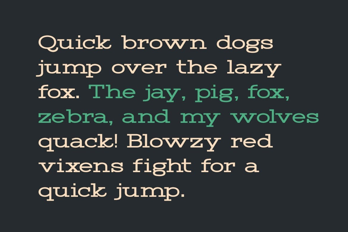 Rymor Display Font, a Serif Font by Webhance Studio (Photo 4 of 8)