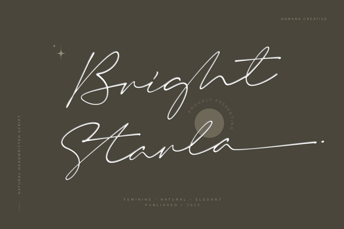 Bright Starla - Handwritten Script, a Script Font by Namara Creative Studio (Photo 13 of 13)