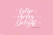 Maida Valley - Handwritten Font, a Script Font by erlosDESIGN (Thumbnail 5 of 14)
