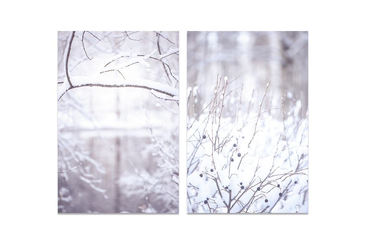Winter Blurred background, a Nature Photo by WildStrawberry Magic (Photo 4 of 9)