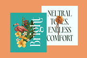 Blamore Modern Serif Display, a Serif Font by timelesstype.co (Thumbnail 6 of 20)