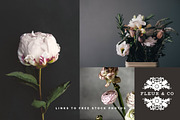Floral Logo, a Branding & Logo Template by stacehill (Thumbnail 4 of 4)