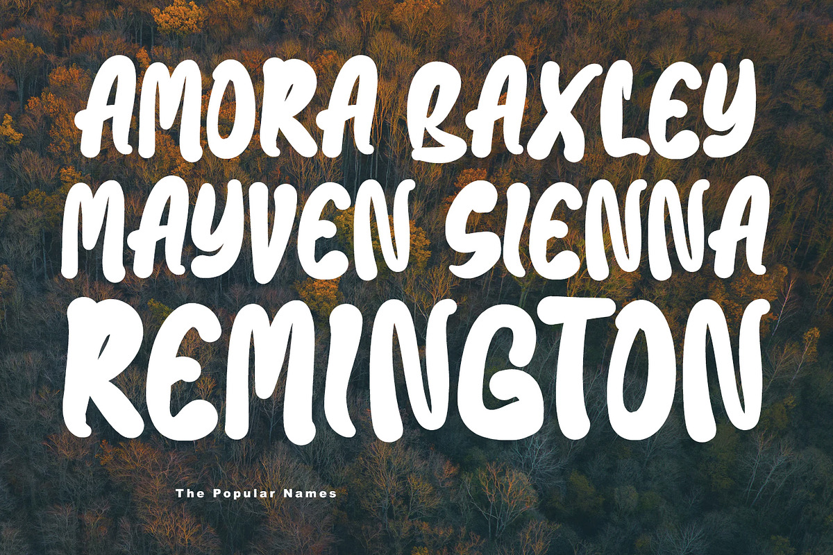 Baxia Jord Modern Display Font, a Handwritten Font by Maulana Creative (Photo 2 of 8)