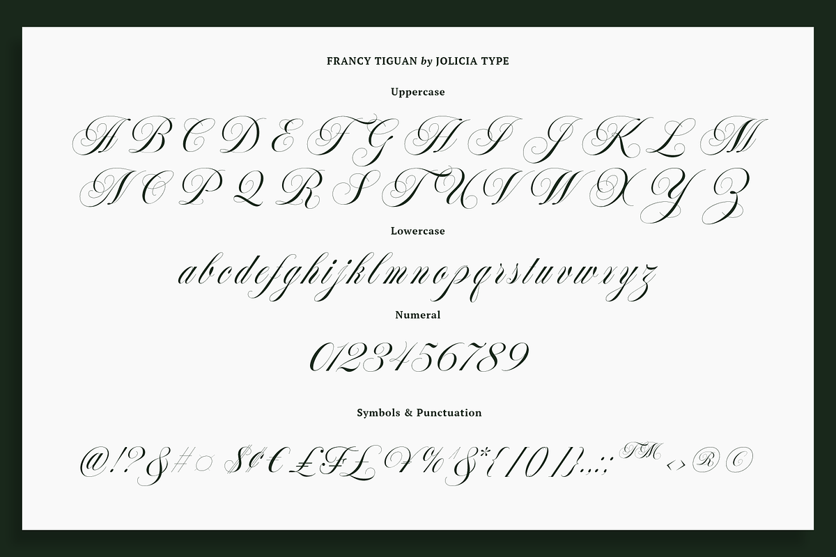 Francy Tiguan | Classy Script Font, a Script Font by Jolicia Type (Photo 10 of 12)