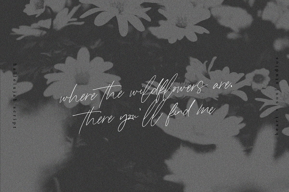 Hallelujah Script | Handwritten Font preview 4