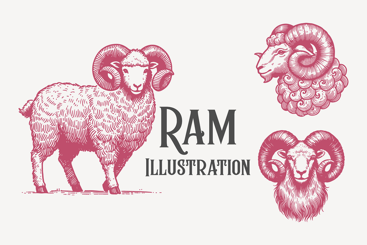 Elegant Vintage Ram Illustration, an Animal Illustration by MkStudio (Photo 1 of 3)