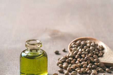 Hemp seeds and hemp oil, copy space. Vertical, a Food & Drink Photo by Fascinadora