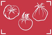 TOMATO LINE ART SET (24 elements), a Food Illustration by Bonfloret Studio (Thumbnail 4 of 9)