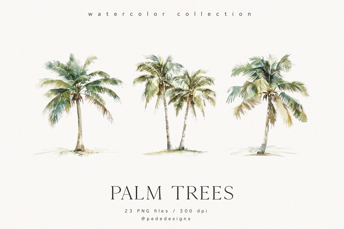 Palm Trees, a Decorative Illustration by PeDe Designs (Photo 7 of 9)