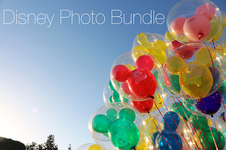 Disneyside Photo Bundle