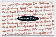 Hoolegan Font Duo, a Sans Serif Font by Garisman Std (Thumbnail 7 of 10)