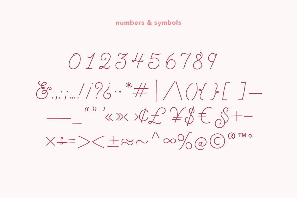 Brookley - Monoline Script Font, a Script Font by Danielle Eneh (Photo 7 of 12)