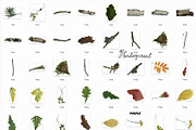 Leaf Imprints, Forest Scans & Paper, an Object Graphic by Purple (Thumbnail 16 of 20)