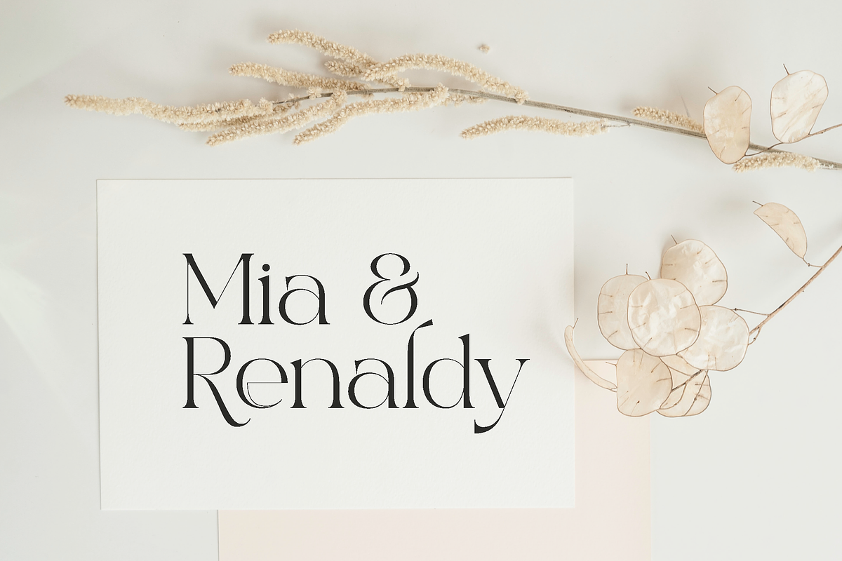Excrallik Modern Serif, a Serif Font by Denustudios (Photo 2 of 7)
