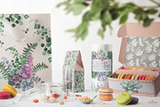Watercolor Scandinavian Succulents, an Illustration by Fluffy Unicorn (Thumbnail 9 of 11)
