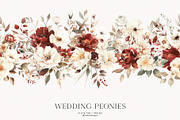 Wedding Peonies, a Decorative Illustration by PeDe Designs (Thumbnail 6 of 10)