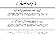 The Shallow, a Script Font by beeART (Thumbnail 8 of 9)