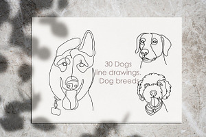 Dogs Line Drawings. Dog Breeds