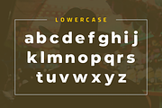 Wallman Love Display Font, a Font by yantodesign (Thumbnail 7 of 9)