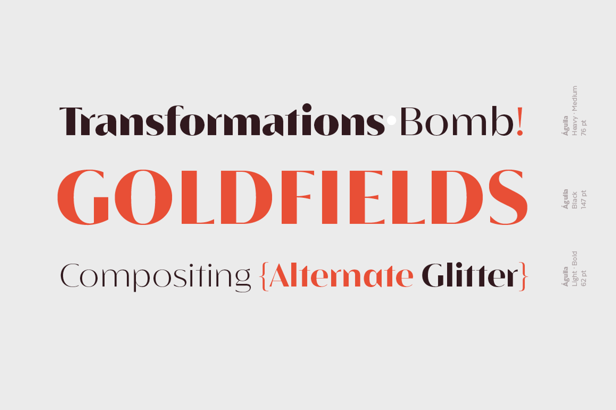 Águila, a Sans Serif Font by Latinotype (Photo 13 of 15)
