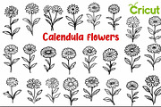 Calendula Flowers SVG Flower Bouquet, a Decorative Illustration by ARTify Illustrations (Thumbnail 1 of 10)