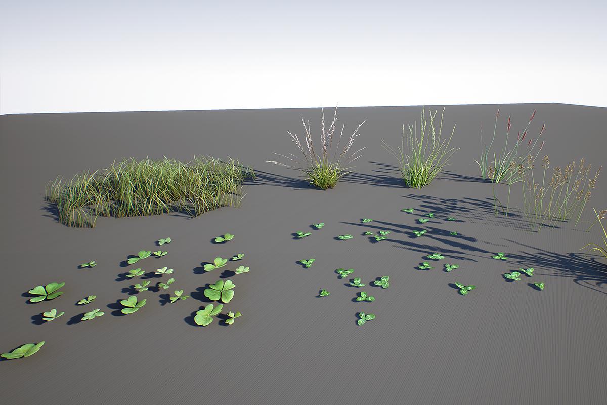 Grass Pack, an Environmental 3D Model by SilverTM (Photo 6 of 6)