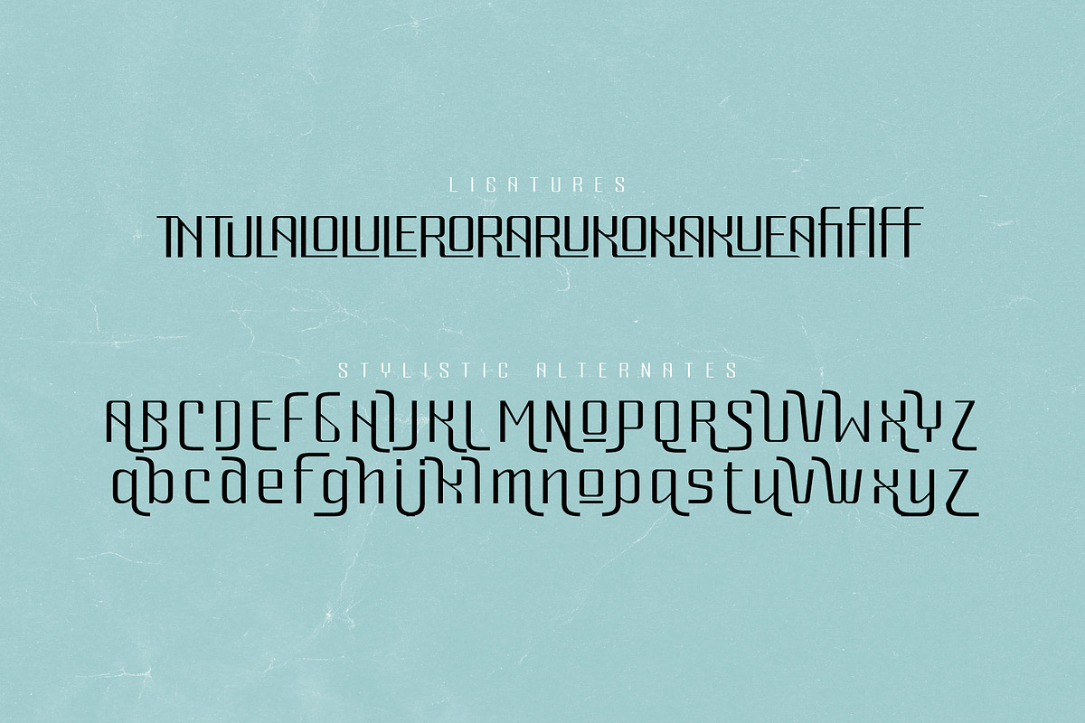 Rey Bon Modern Classic Font, a Sans Serif Font by AuthenType (Photo 6 of 10)
