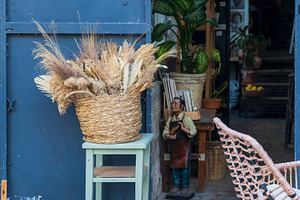Dried pampas grass in a woven basket, an Abstract Photo by Imaginarium