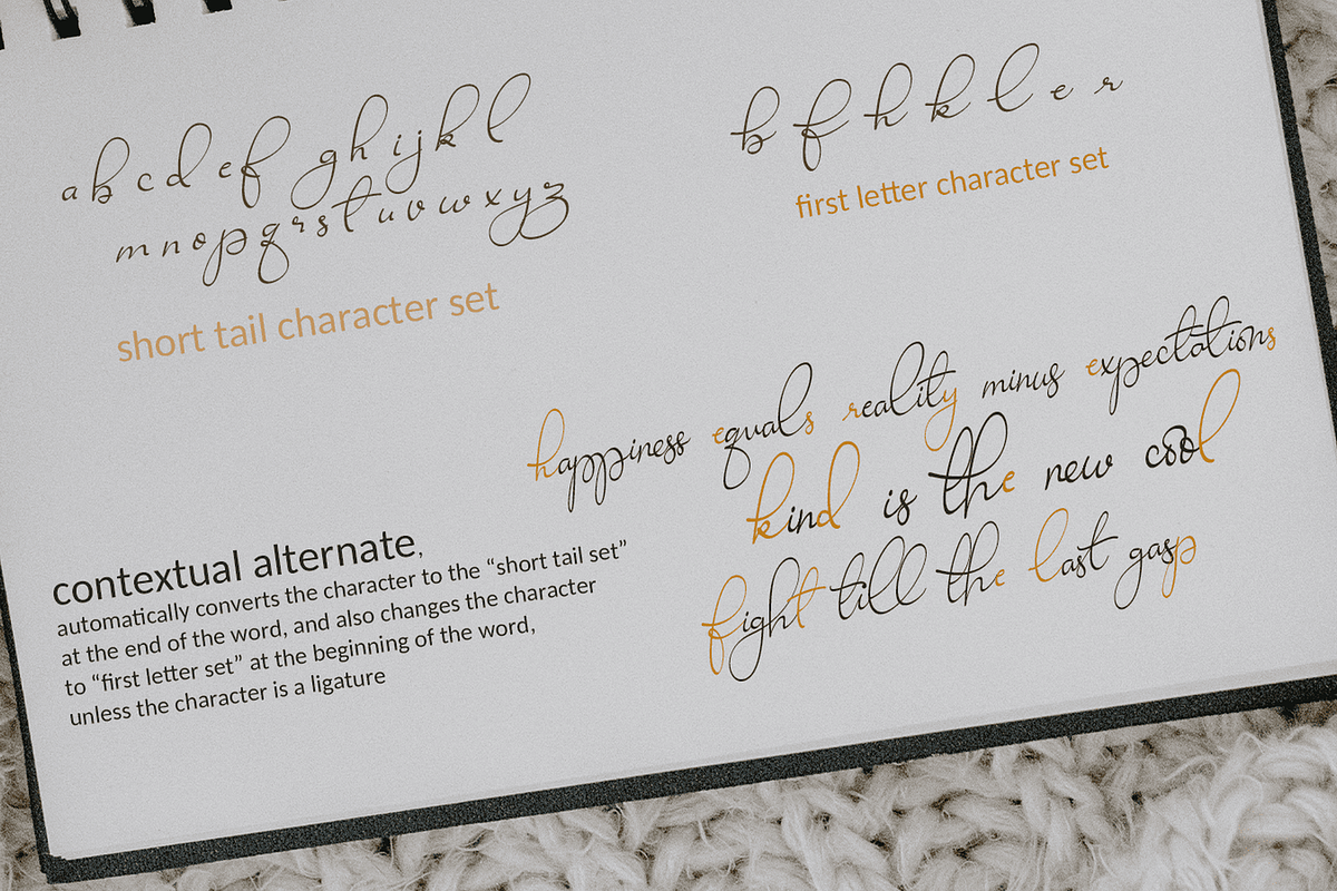 Ravishing Solidago Font, a Handwritten Font by Letterhanna Studio (Photo 14 of 21)