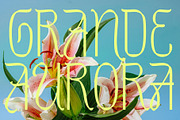 Sharon Elany, a Sans Serif Font by Get Studio (Thumbnail 12 of 27)