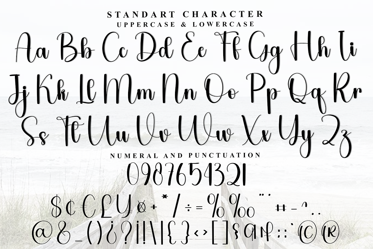Quantum Quality, a Handwritten Font by FreshTypeINK (Photo 4 of 8)