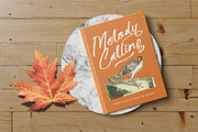 Hulatin Modern Brush Script, a Script Font by stylishtype.co (Thumbnail 6 of 20)