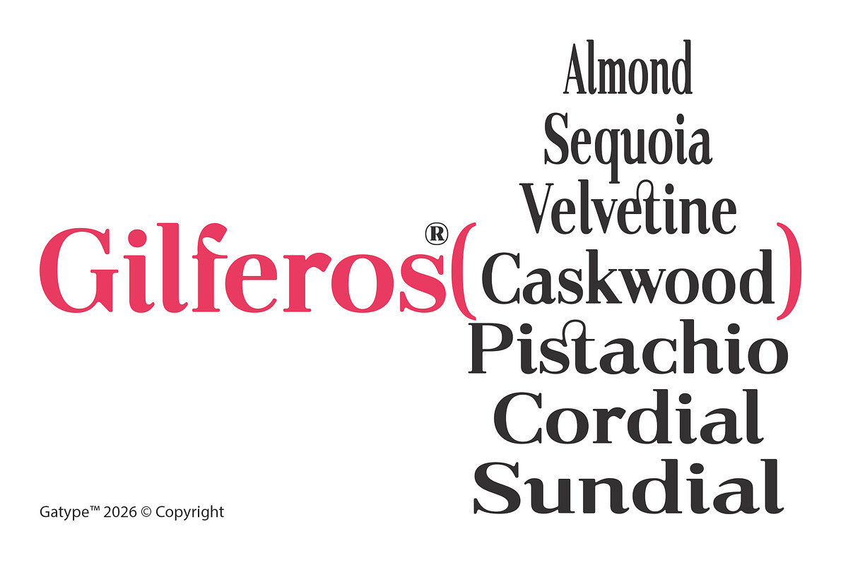 Gilferos, a Serif Font by Gatype (Photo 6 of 16)